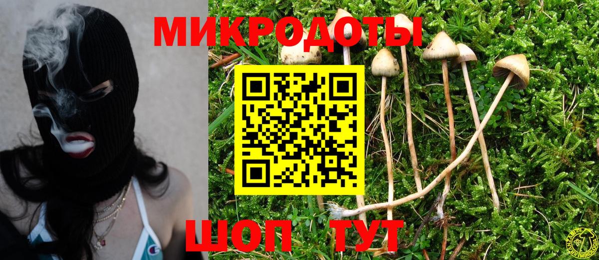 Псилоцибиновые грибы Psilocybine cubensis  цены   Кимовск  Вход с VPN 